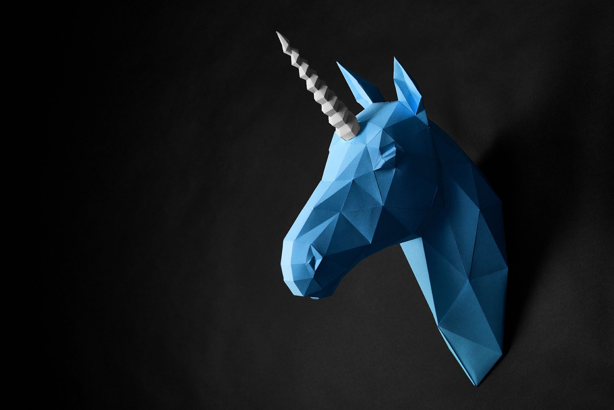 7 Things To Know Before Investing In Unicorns