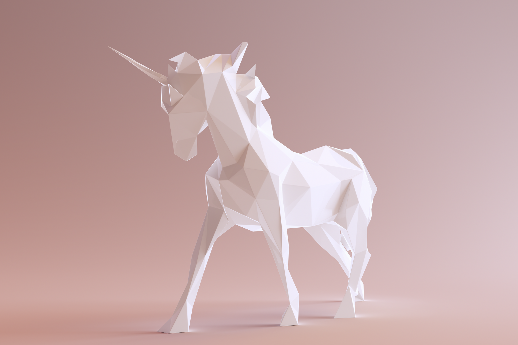 Investing in unicorns - What you need to know!